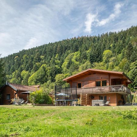 Chalets Du Bouchot & Jacuzzi Privatif Proximite Gerardmer & La Bresse Rochesson Zewnętrze zdjęcie